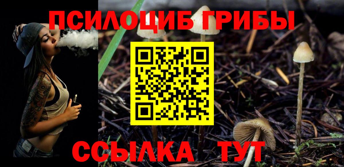 Псилоцибиновые грибы прущие грибы Домодедово
